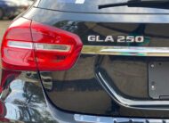 2014 Mercedes Benz GLA 250 4MATIC