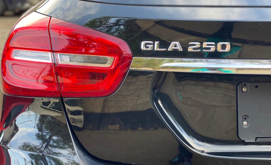 2014 Mercedes Benz GLA 250 4MATIC