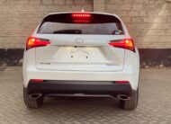 2015 Lexus NX200T