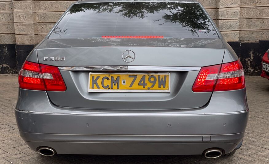 2010 Mercedes Benz E300