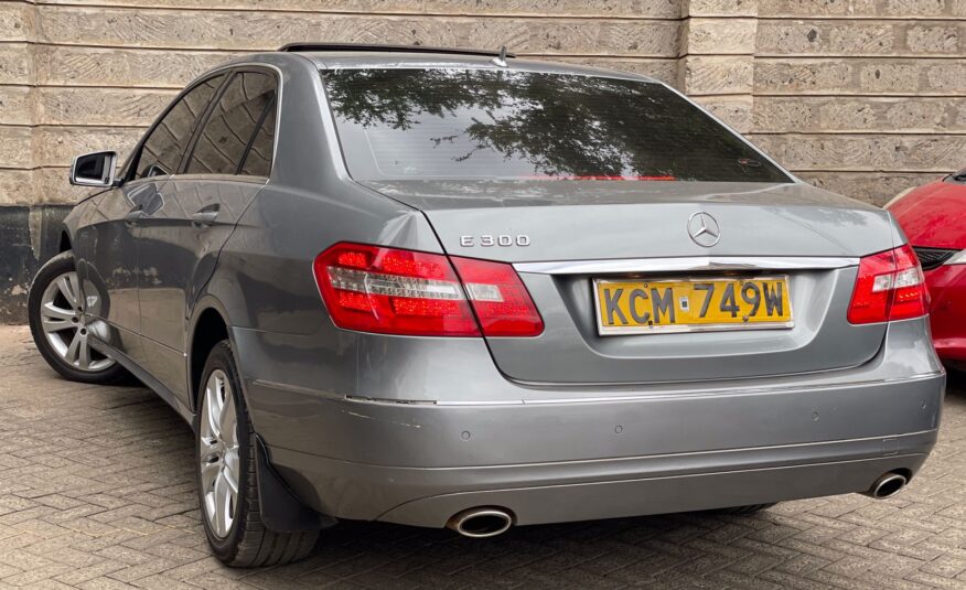 2010 Mercedes Benz E300