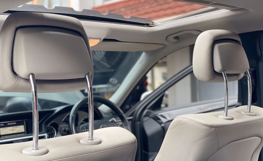 2010 Mercedes Benz E300