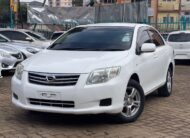 2011 Toyota Axio