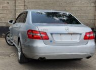 2010 Mercedes Benz E300
