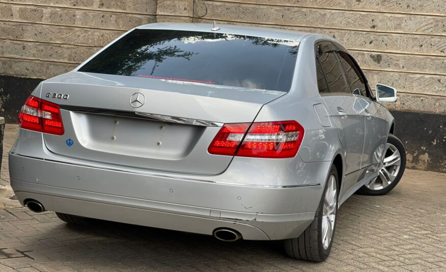 2010 Mercedes Benz E300