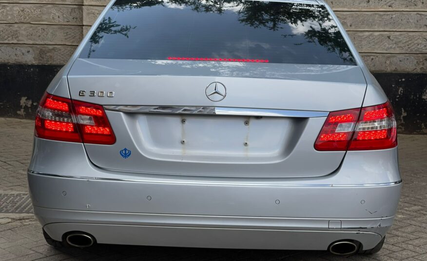 2010 Mercedes Benz E300