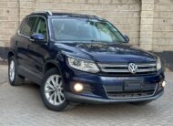 2015 Volkswagen Tiguan