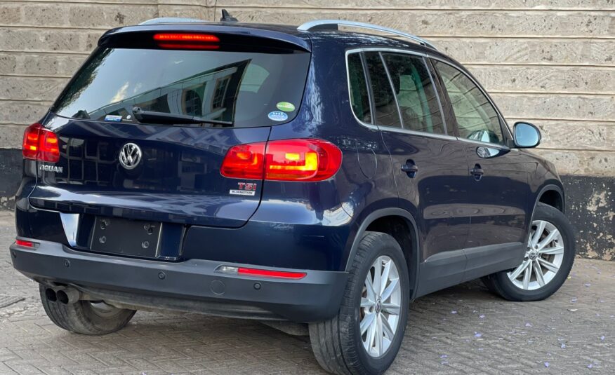 2015 Volkswagen Tiguan