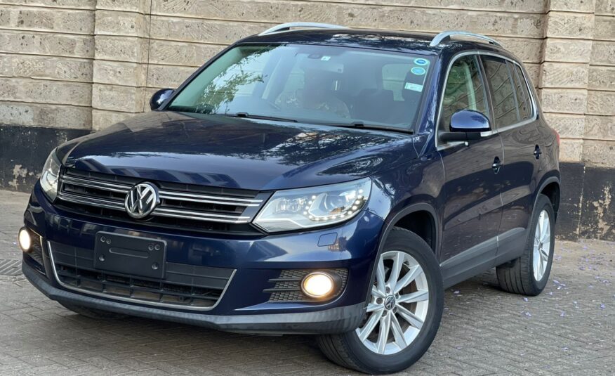 2015 Volkswagen Tiguan