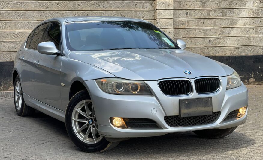 2010 BMW 320I Silver
