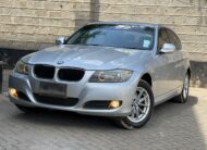2010 BMW 320I Silver