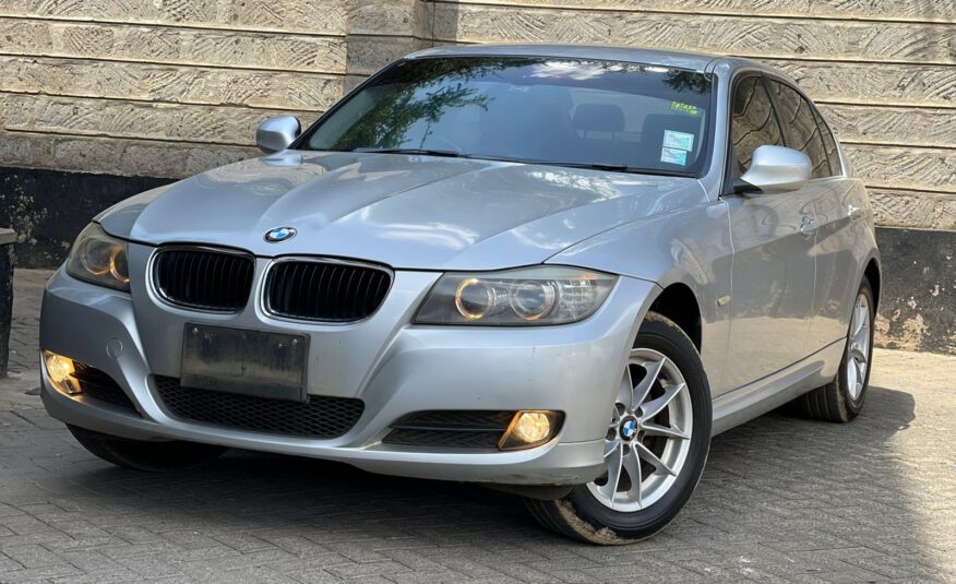 2010 BMW 320I Silver