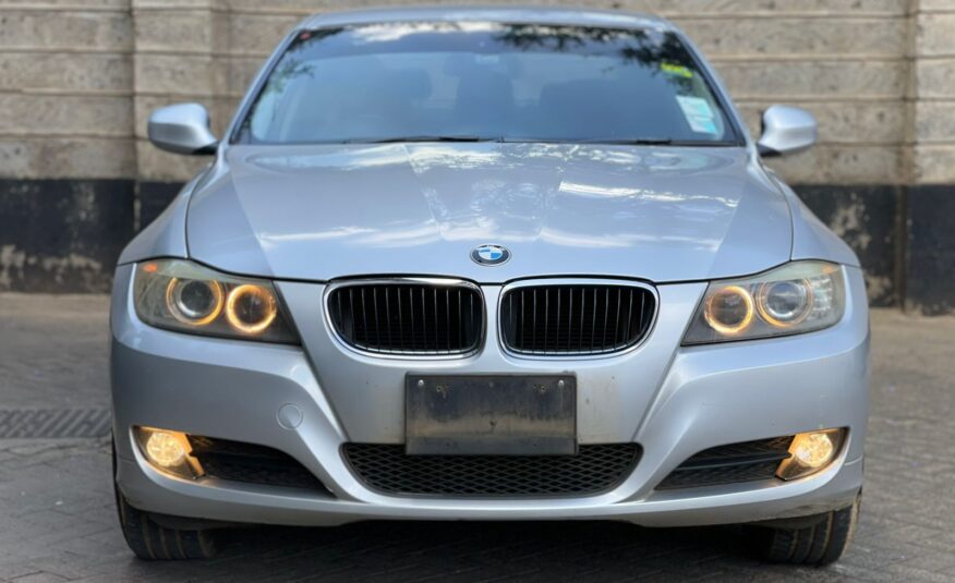 2010 BMW 320I Silver