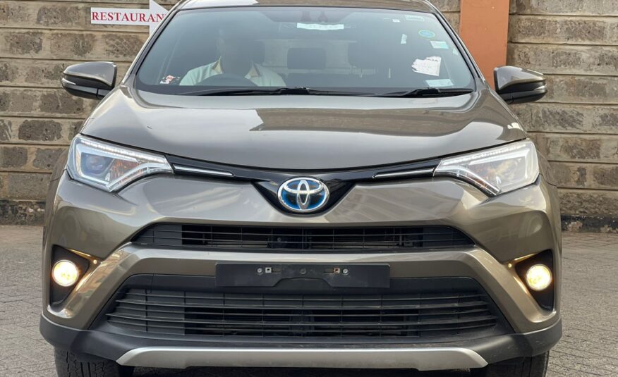2016 Toyota Rav4 (Hybrid)