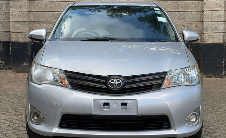 2013 Toyota Axio