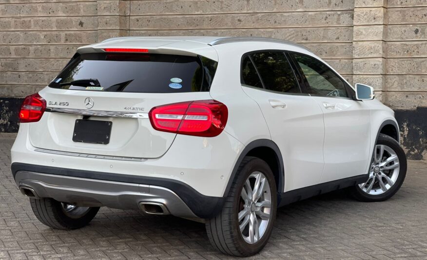 2015 Mercedes Benz GLA 250