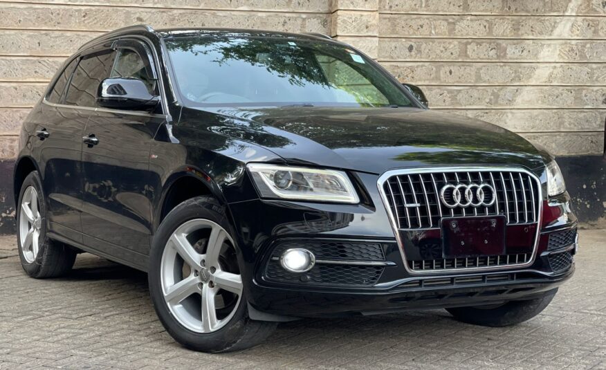 AudiQ5 S-Line