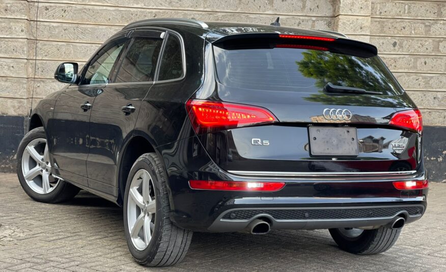 AudiQ5 S-Line