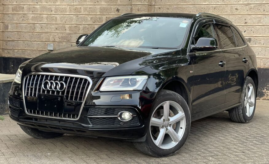 AudiQ5 S-Line