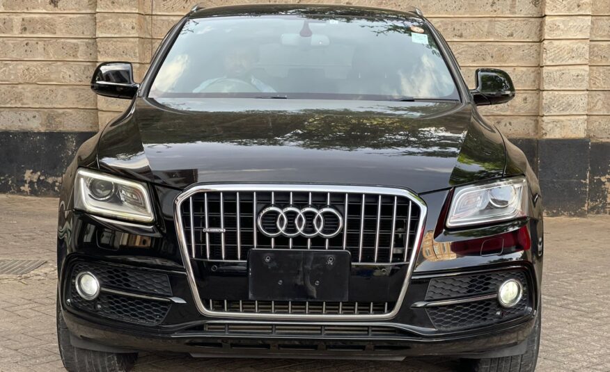 AudiQ5 S-Line