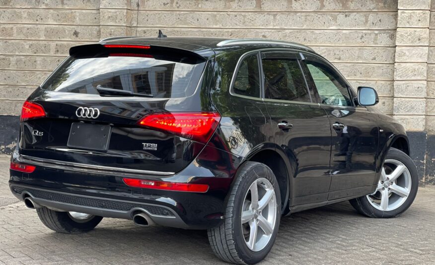 AudiQ5 S-Line