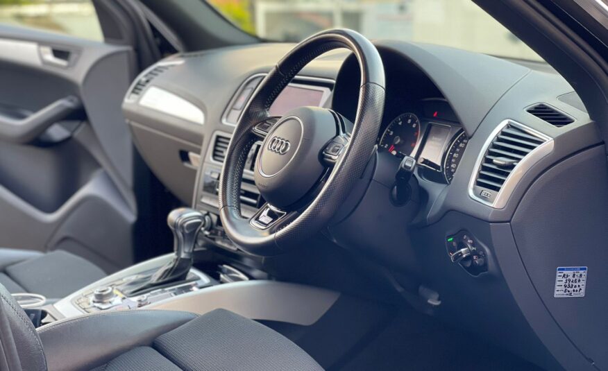 AudiQ5 S-Line