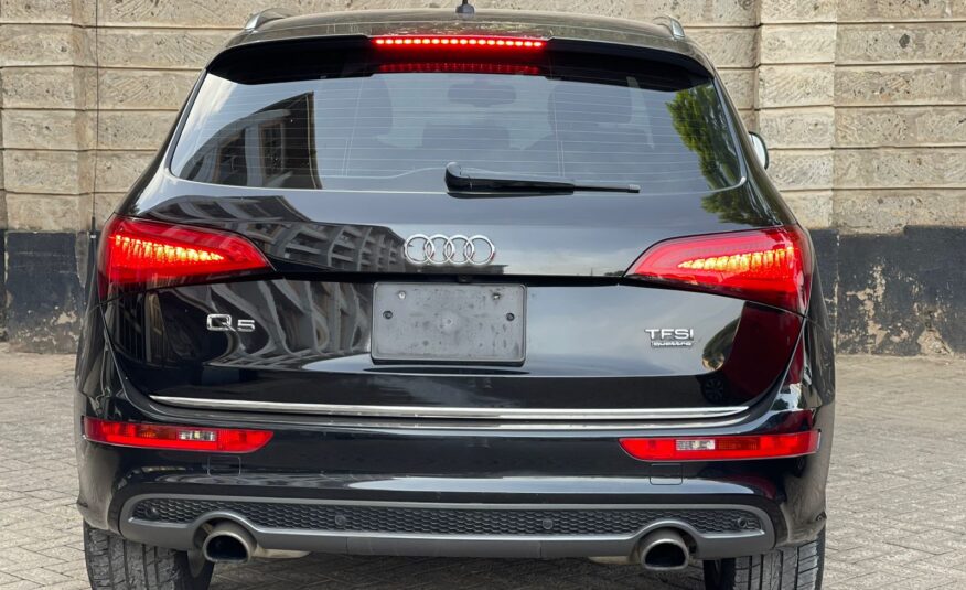 AudiQ5 S-Line