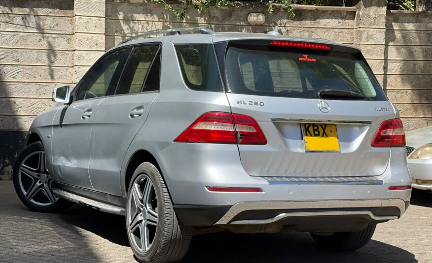 2012 Mercedes-Benz ML250