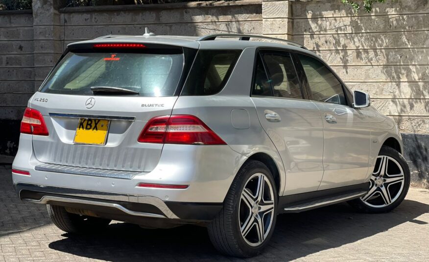 2012 Mercedes-Benz ML250