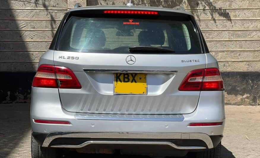 2012 Mercedes-Benz ML250