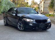 2015 BMW M235I