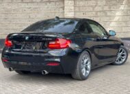 2015 BMW M235i