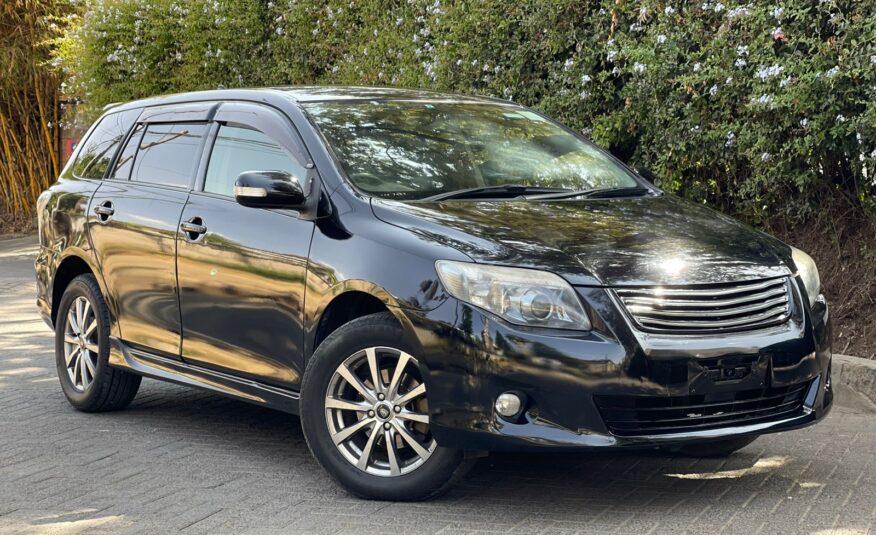 2010 Toyota Fielder