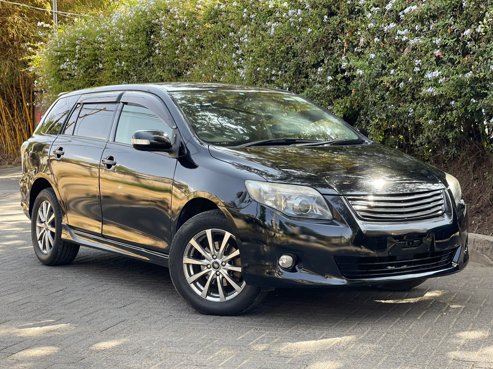 2010 Toyota Fielder