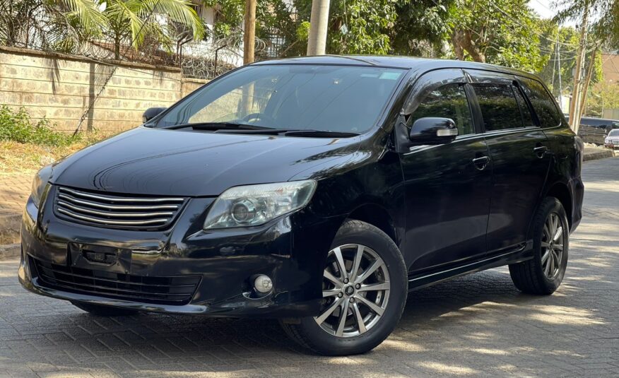 2010 Toyota Fielder