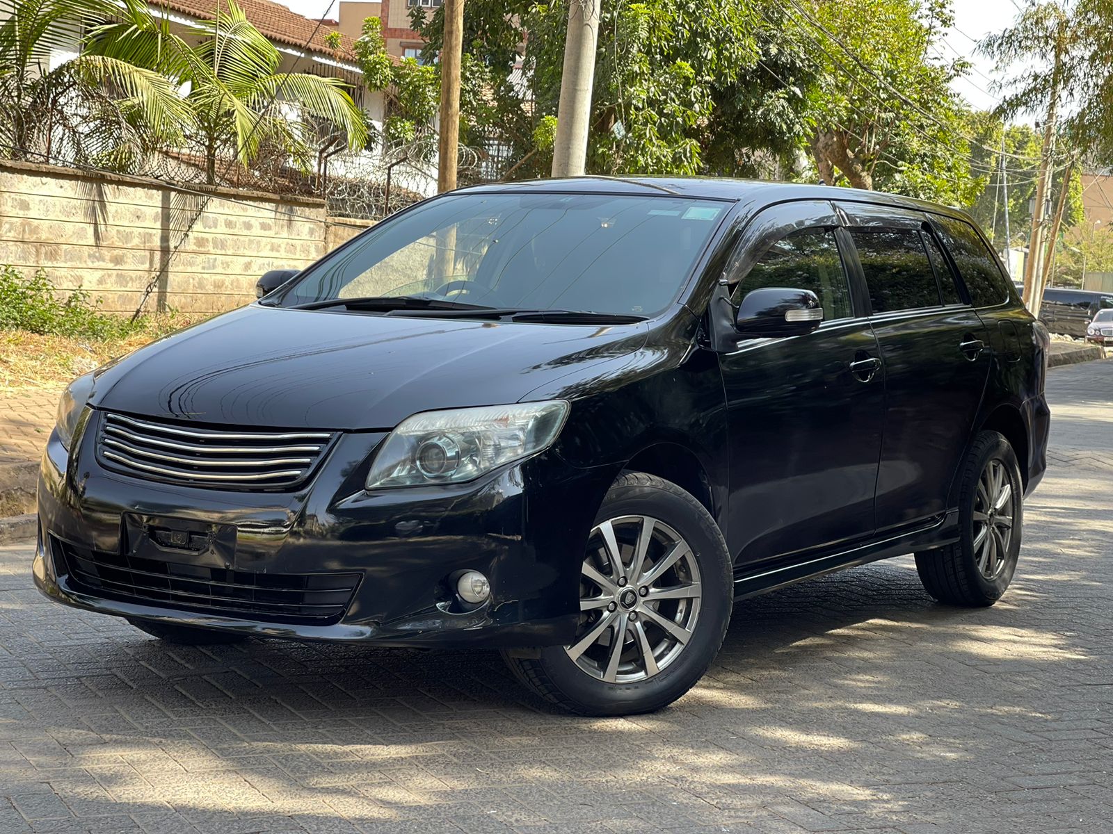 2010 Toyota Fielder