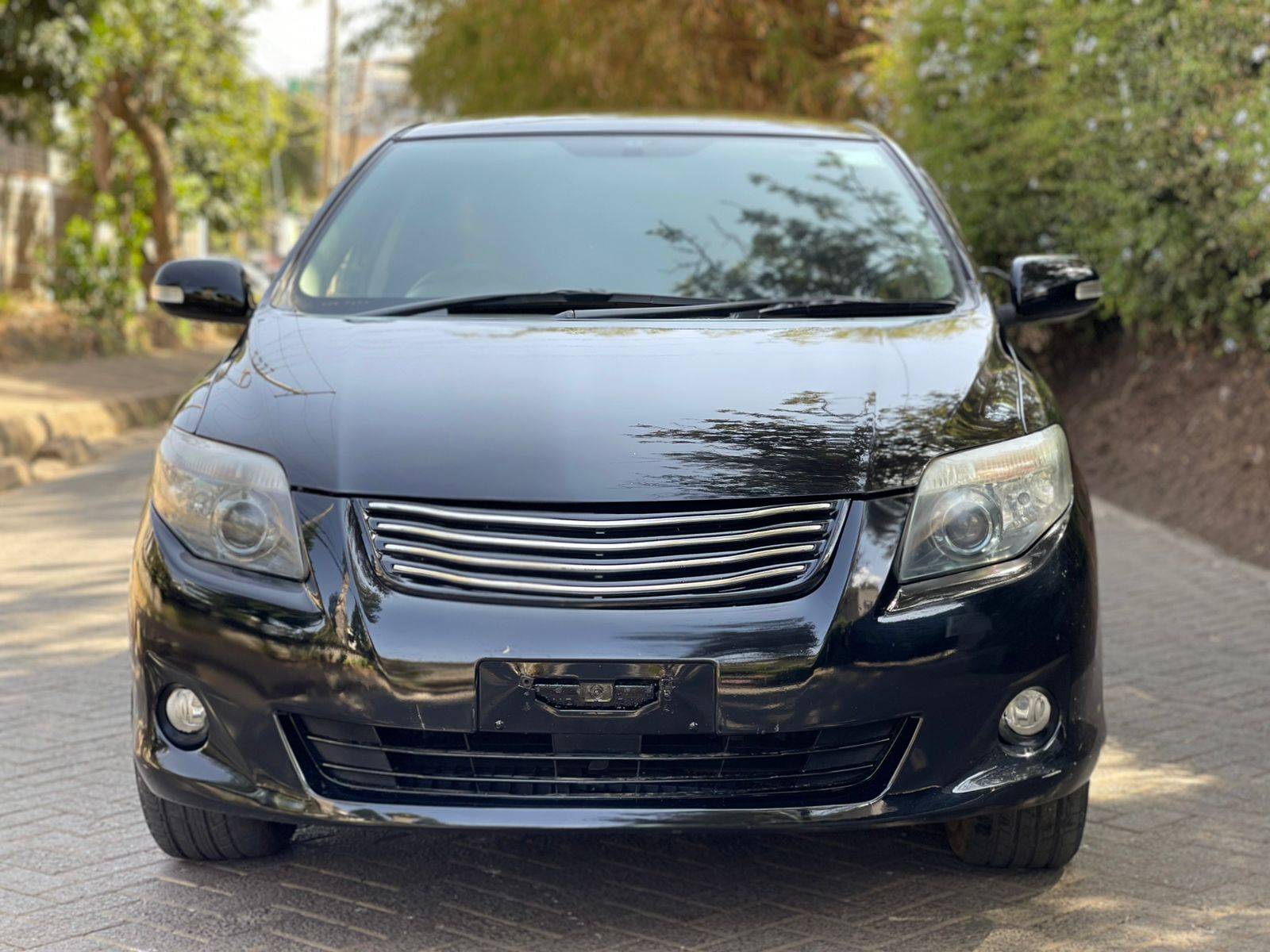 2010 Toyota Fielder