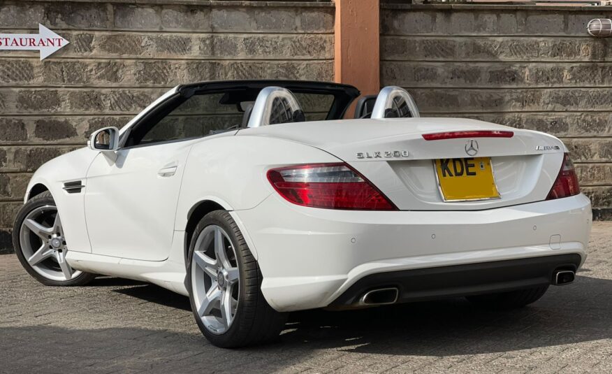 2014 Mercedes Benz SLK 200 AMG Sport 2dr