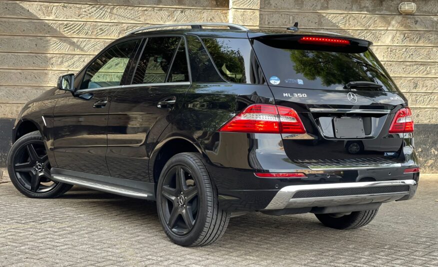 2015 Mercedes Benz ML350