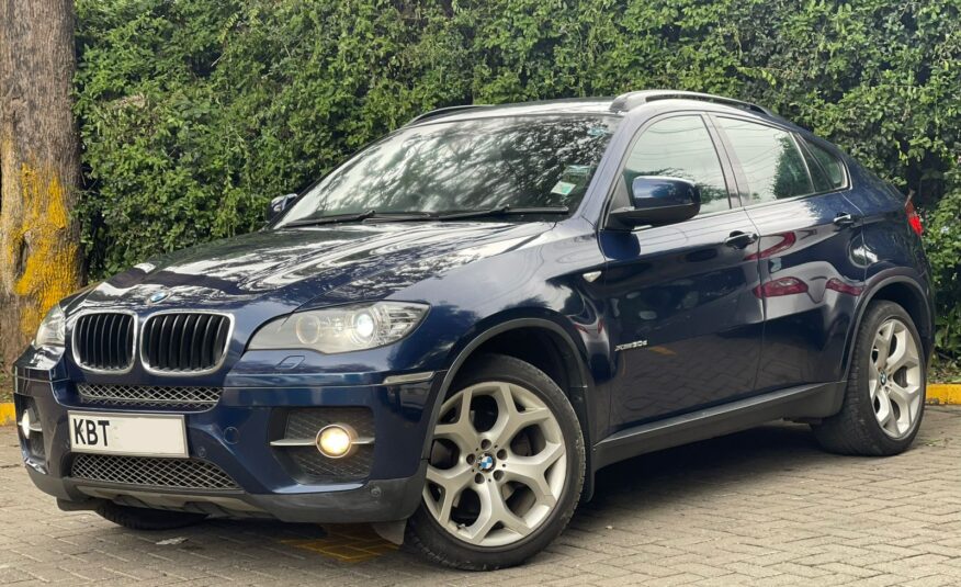 2010 BMW X6