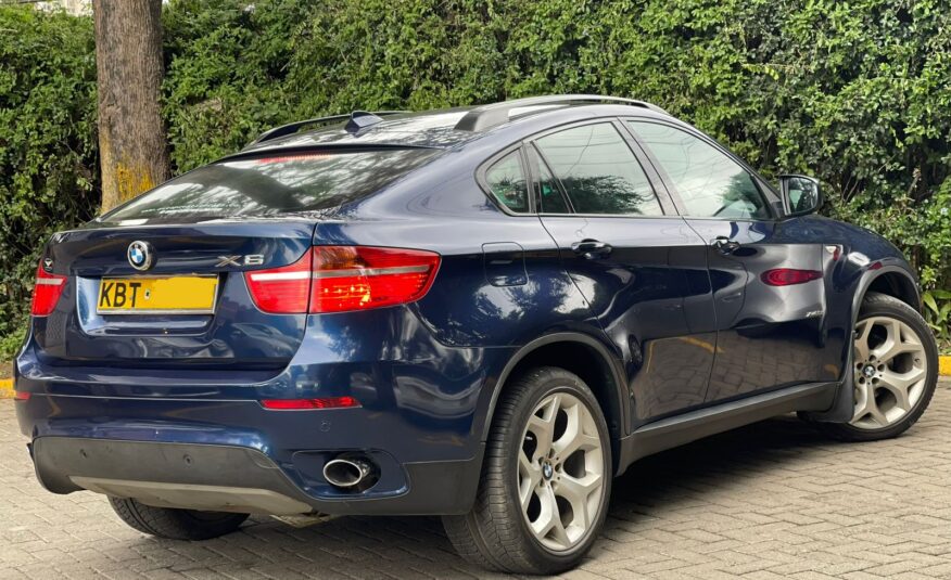 2010 BMW X6