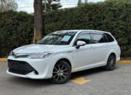 2017 Toyota Fielder