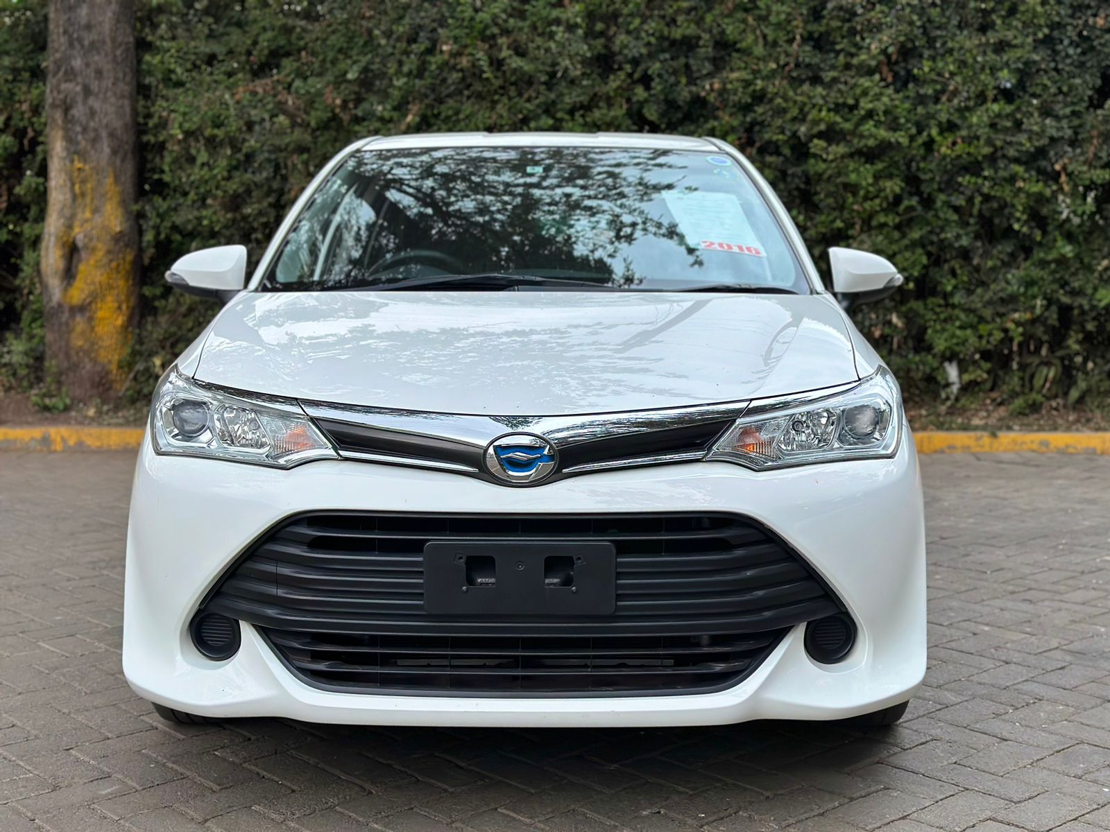 2017 Toyota Fielder
