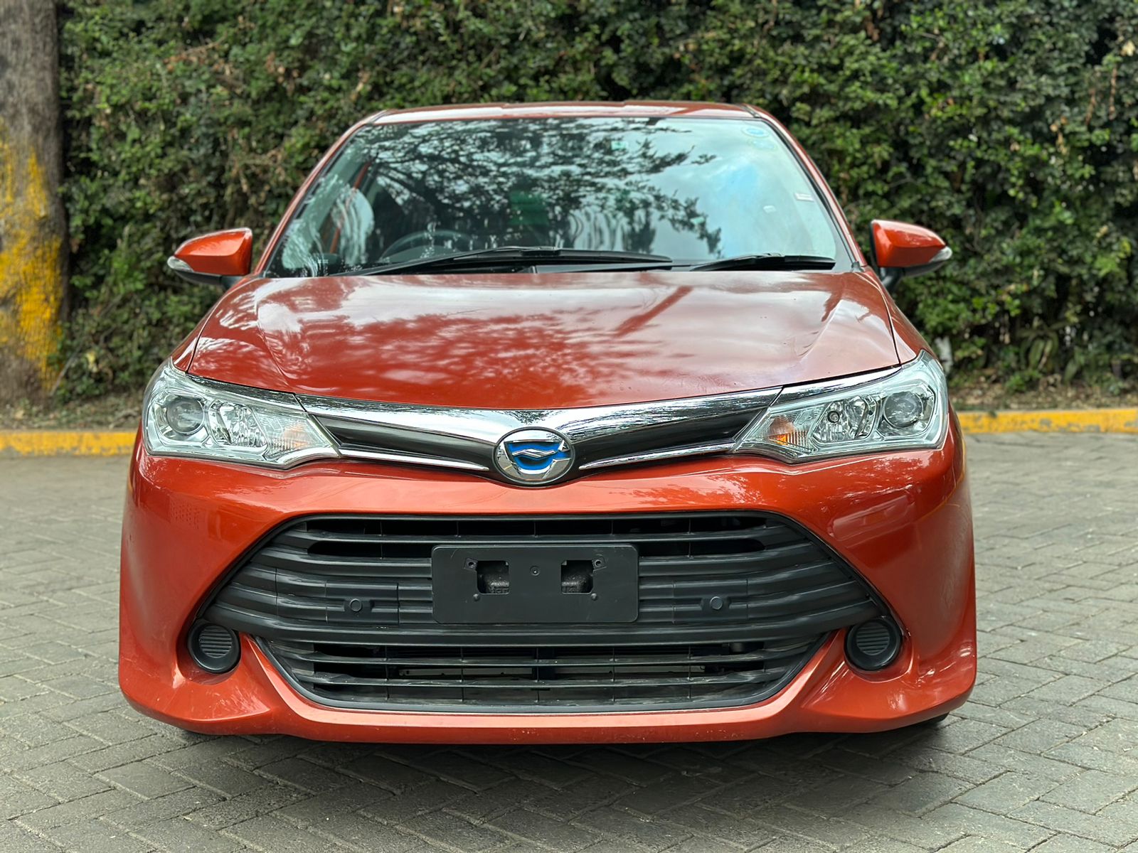 2017 Toyota Fielder