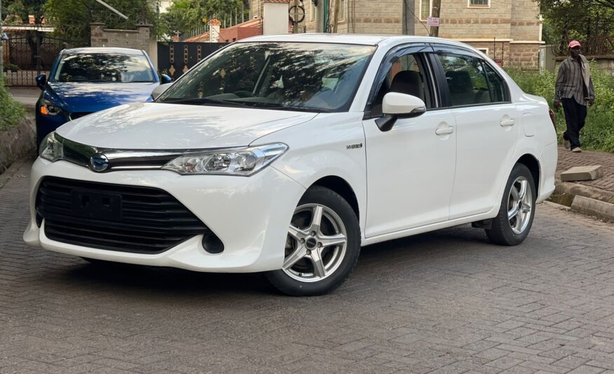 2016 Toyota Axio Hybrid