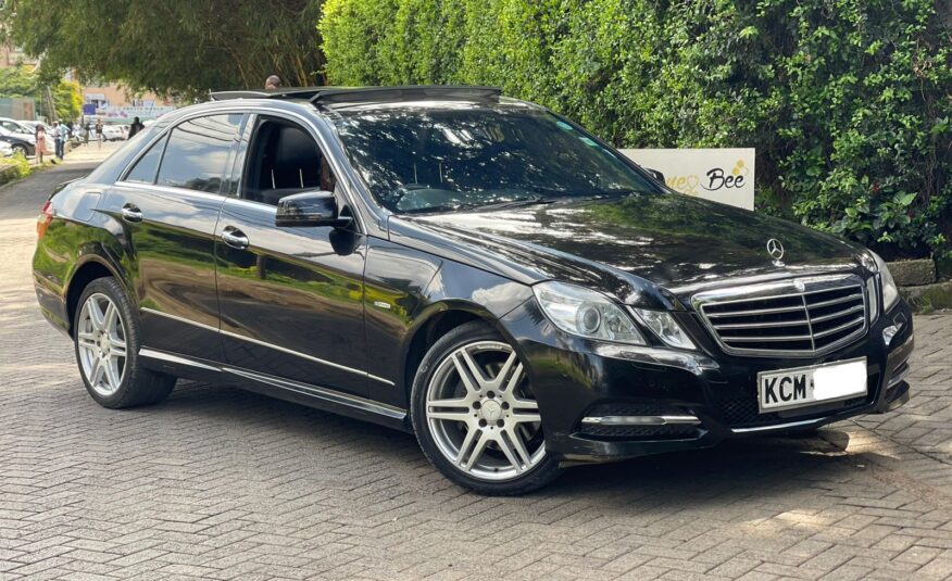 2010 Mercedes-Benz E250