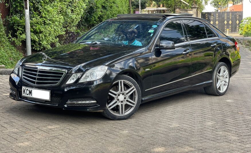 2010 Mercedes-Benz E250