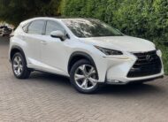 2016 Lexus NX300h Hybrid