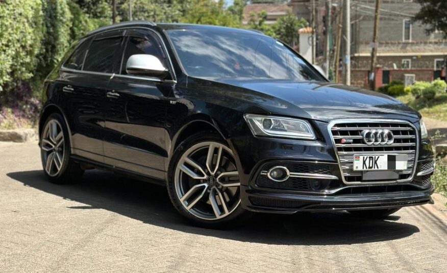 2015 Audi SQ5/ panoramic