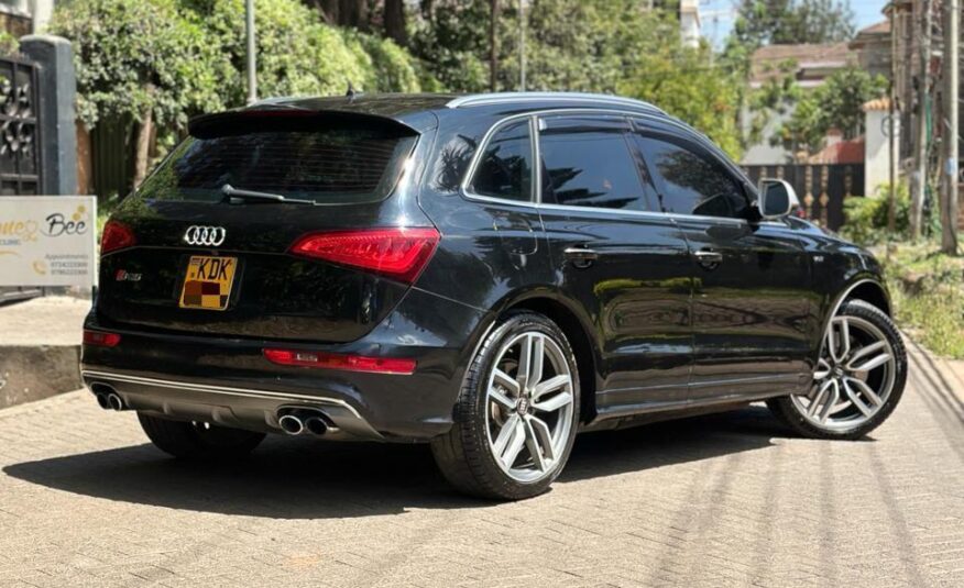 2015 Audi SQ5/ panoramic